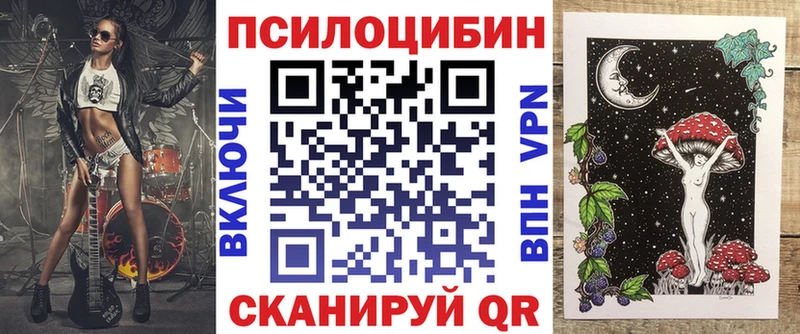 Псилоцибиновые грибы Cubensis как найти Лахденпохья